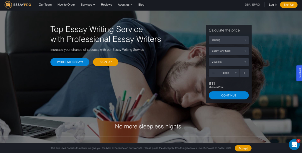 best law essay writing service